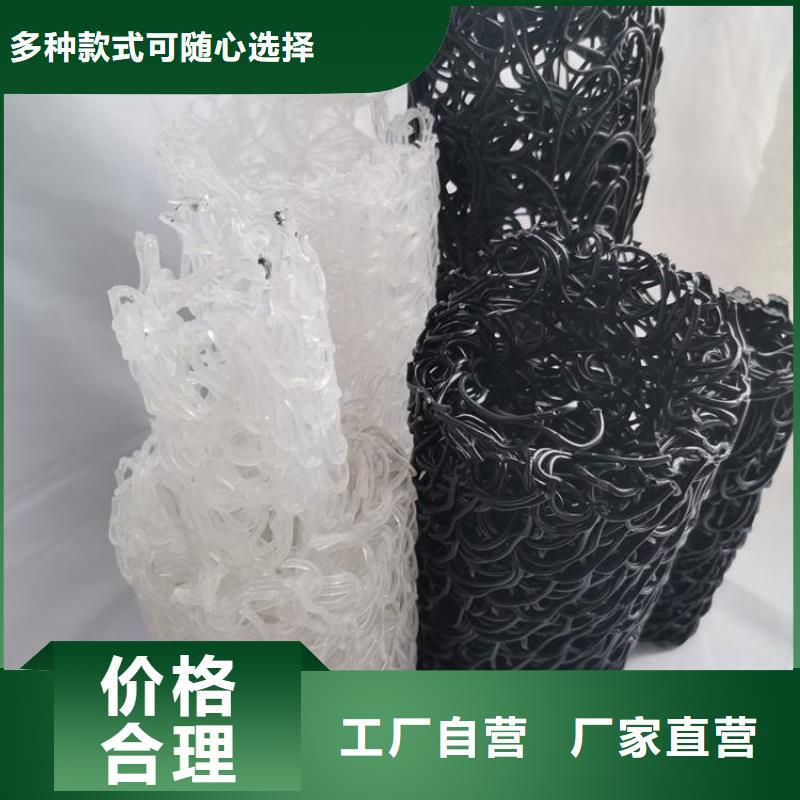 塑料盲沟,【HDPE土工膜】专业生产N年 鼎诺土工材料(平凉市分公司)
