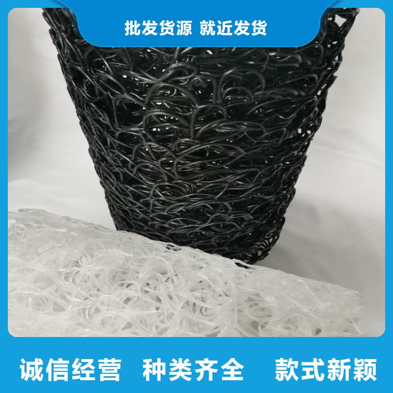 【塑料盲沟】 防水板产地工厂-鼎诺土工材料(榆林市分公司)
