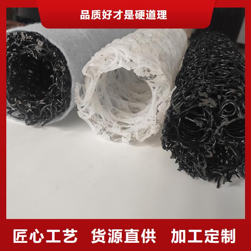 塑料盲沟,【HDPE土工膜】专业生产N年 鼎诺土工材料(平凉市分公司)