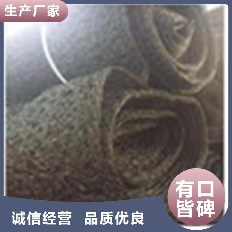 【通风降噪丝网】植草格实力见证