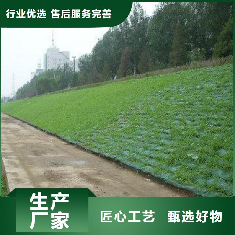 【 三维植被网-防渗膜工艺成熟】-鼎诺土工材料(杭州市分公司)|覆盖地域富阳|滨江|金华|舟山|宁波|台州|绍兴|湖州