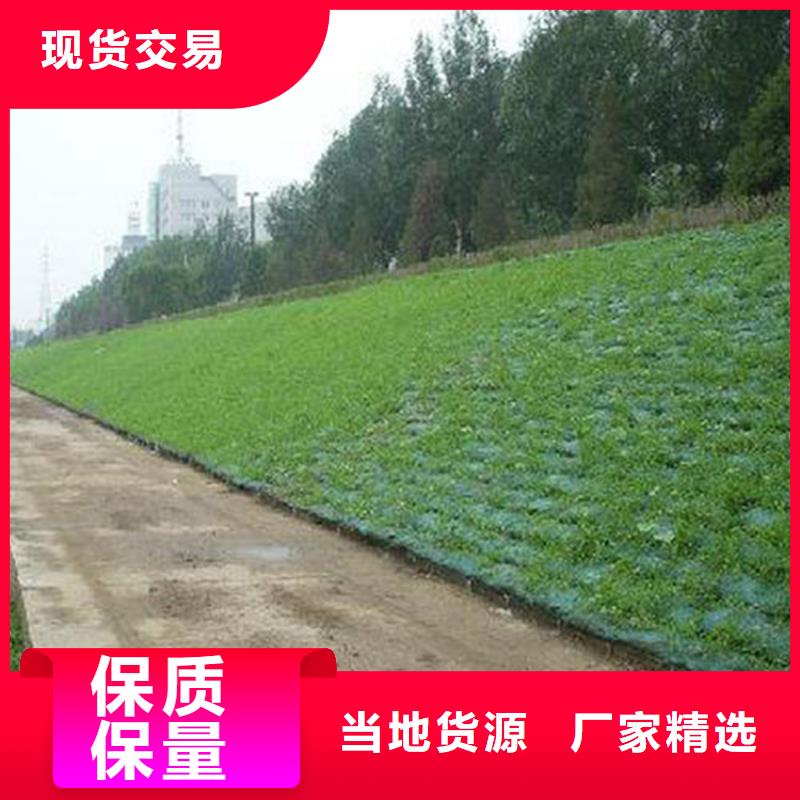 【 三维植被网HDPE土工膜制造厂家】_鼎诺土工材料(驻马店市分公司)