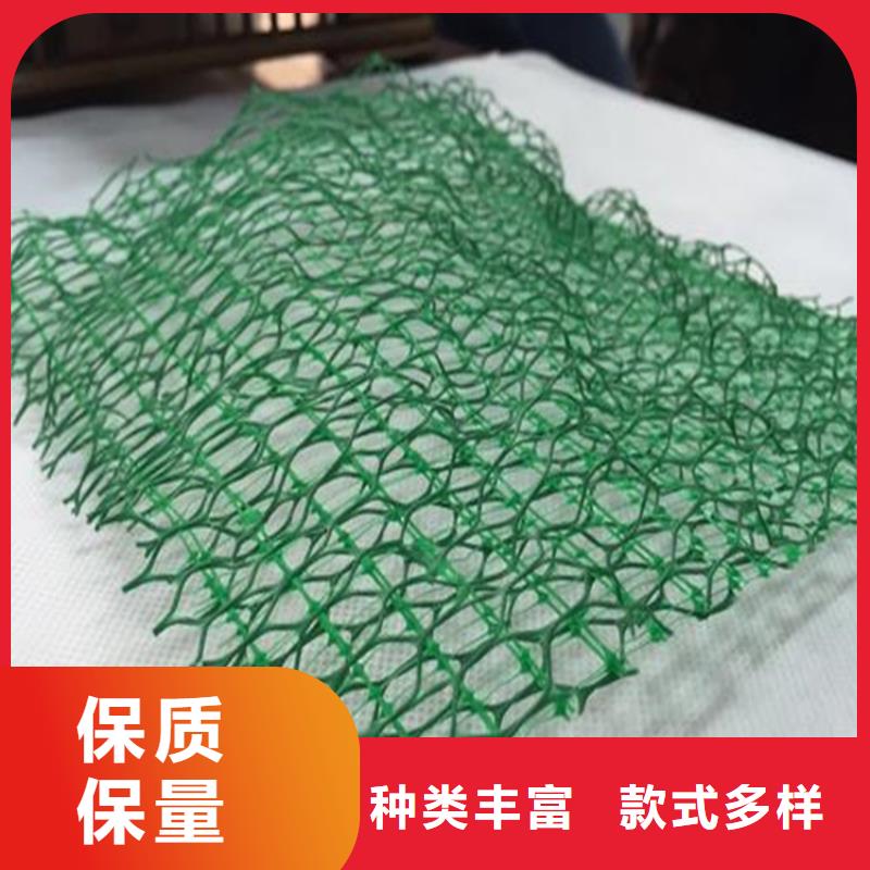 【 三维植被网-防渗膜工艺成熟】-鼎诺土工材料(杭州市分公司)|覆盖地域富阳|滨江|金华|舟山|宁波|台州|绍兴|湖州
