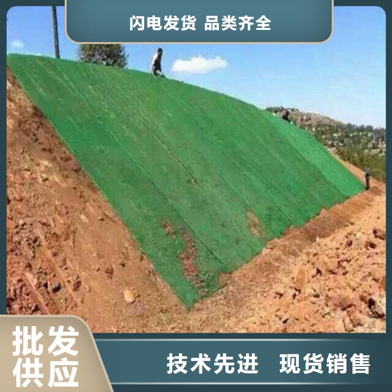 【 三维植被网HDPE土工膜制造厂家】_鼎诺土工材料(驻马店市分公司)