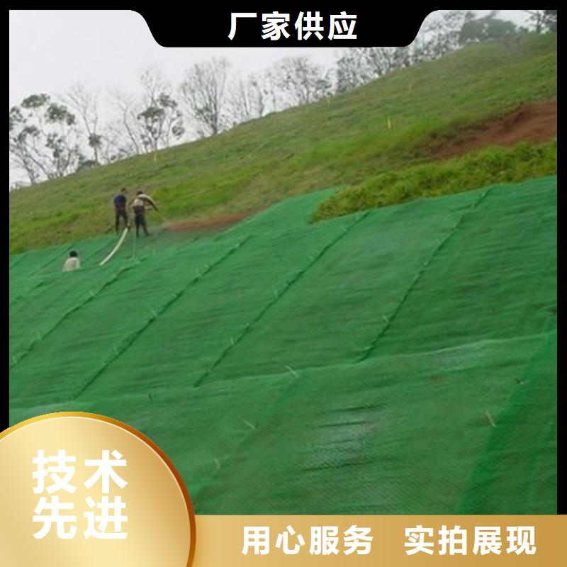 三维植被网防渗膜支持拿样