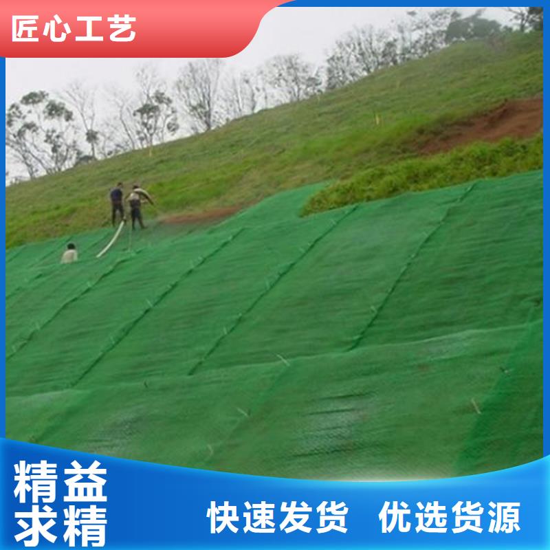 三维植被网软式透水管细节展示