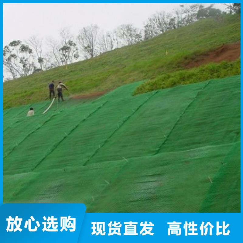 【 三维植被网-防渗膜工艺成熟】-鼎诺土工材料(杭州市分公司)|覆盖地域富阳|滨江|金华|舟山|宁波|台州|绍兴|湖州