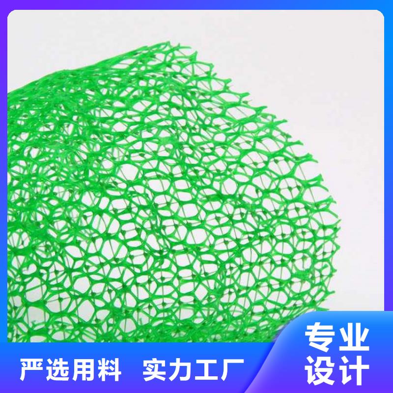 【三维植被网】-塑料盲沟精工打造-鼎诺土工材料(安顺市分公司)