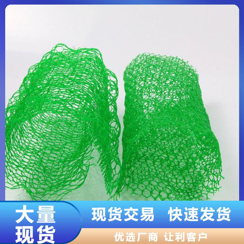 三维植被网【防渗膜】高品质诚信厂家