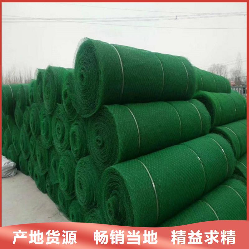 三维植被网-防水膜专业生产品质保证