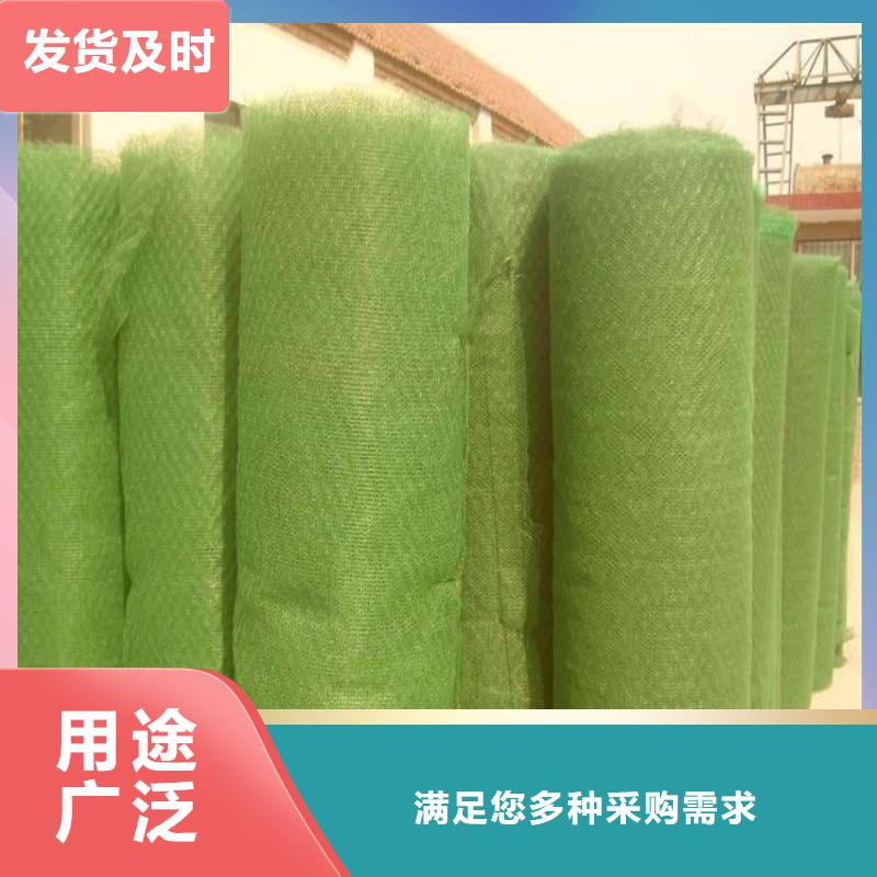 三维植被网-防水膜专业生产品质保证