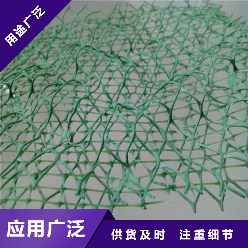 三维植被网,通风降噪丝网海量现货直销