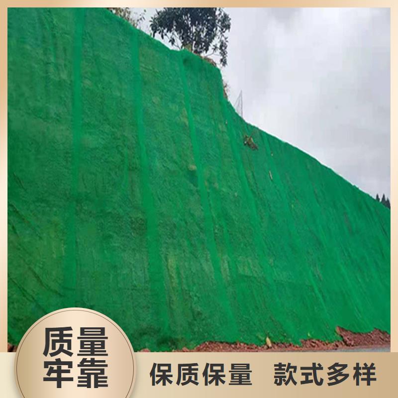 【 三维植被网-防渗膜工艺成熟】-鼎诺土工材料(杭州市分公司)|覆盖地域富阳|滨江|金华|舟山|宁波|台州|绍兴|湖州