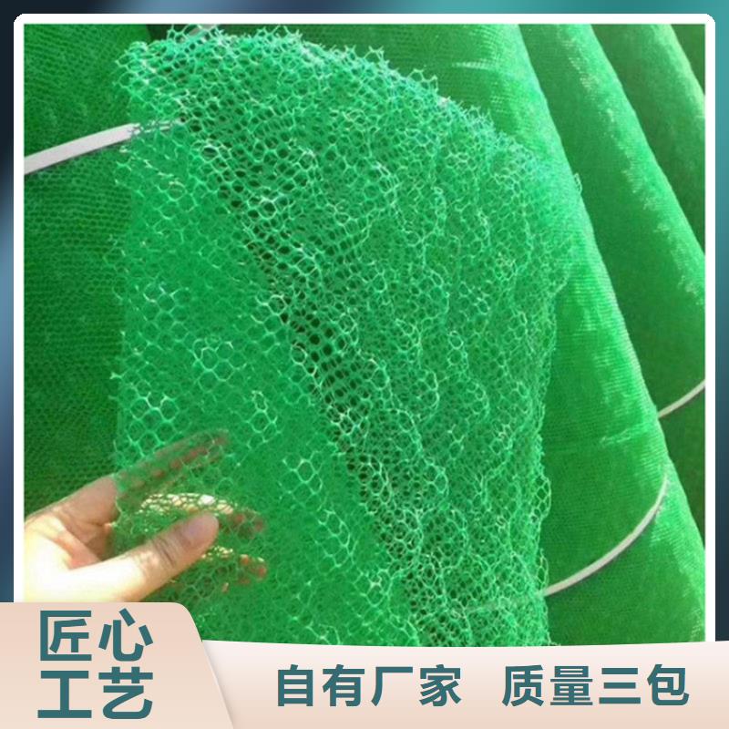 三维植被网,通风降噪丝网海量现货直销