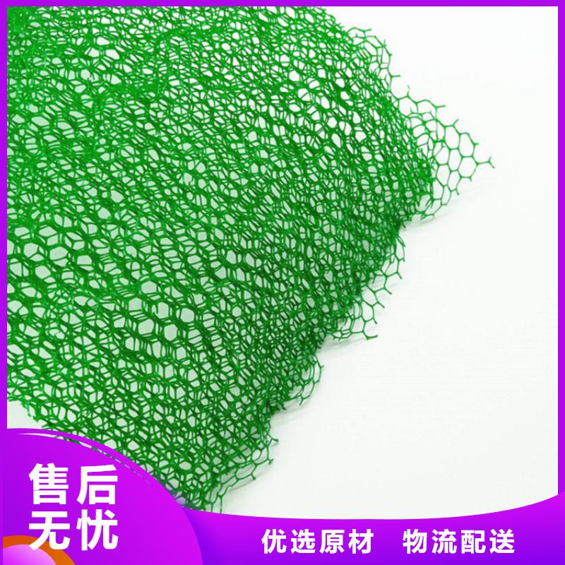 【 三维植被网HDPE土工膜制造厂家】_鼎诺土工材料(驻马店市分公司)
