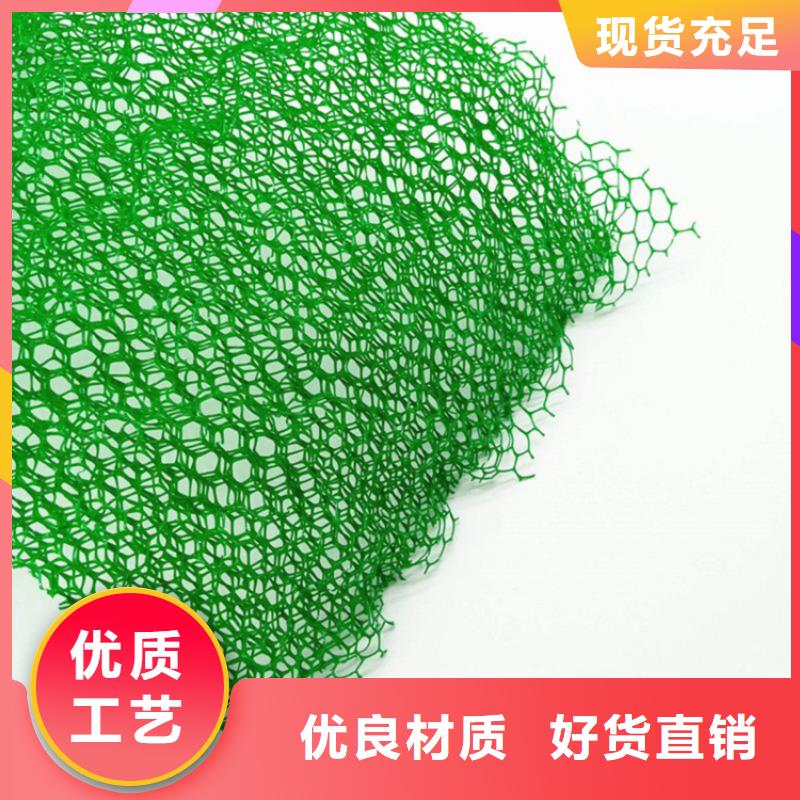 三维植被网【防渗膜】高品质诚信厂家