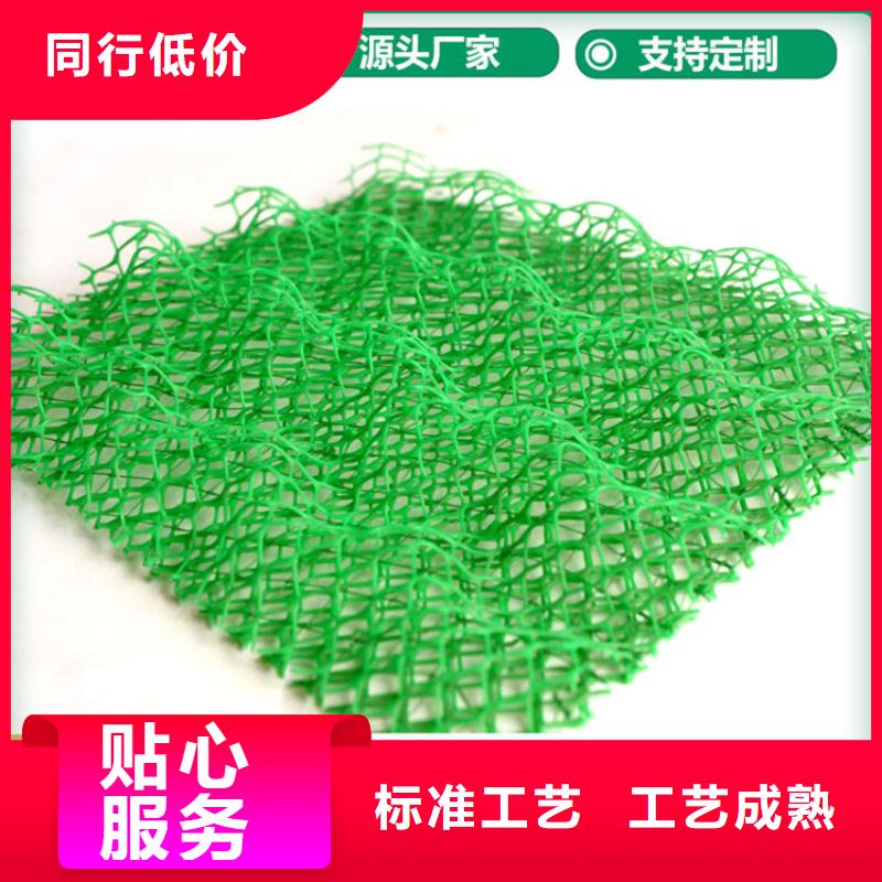 三维植被网土工膜匠心品质