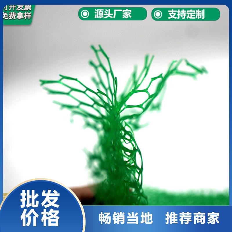 【 三维植被网-防渗膜工艺成熟】-鼎诺土工材料(杭州市分公司)|覆盖地域富阳|滨江|金华|舟山|宁波|台州|绍兴|湖州