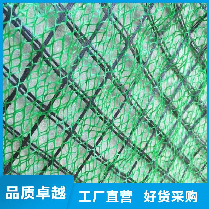 【 三维植被网HDPE土工膜制造厂家】_鼎诺土工材料(驻马店市分公司)