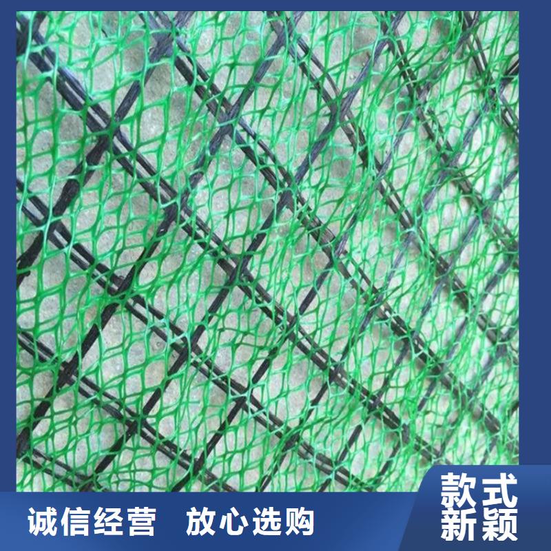 【 三维植被网-防渗膜工艺成熟】-鼎诺土工材料(杭州市分公司)|覆盖地域富阳|滨江|金华|舟山|宁波|台州|绍兴|湖州