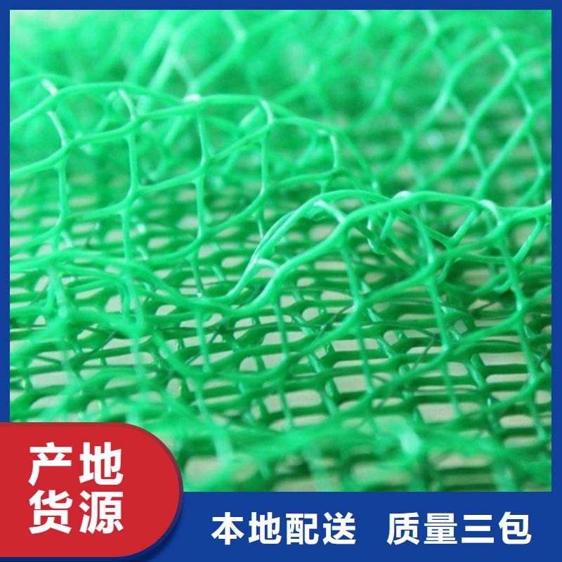 三维植被网-防水膜专业生产品质保证