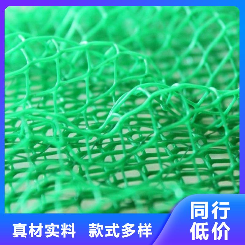 三维植被网,通风降噪丝网海量现货直销