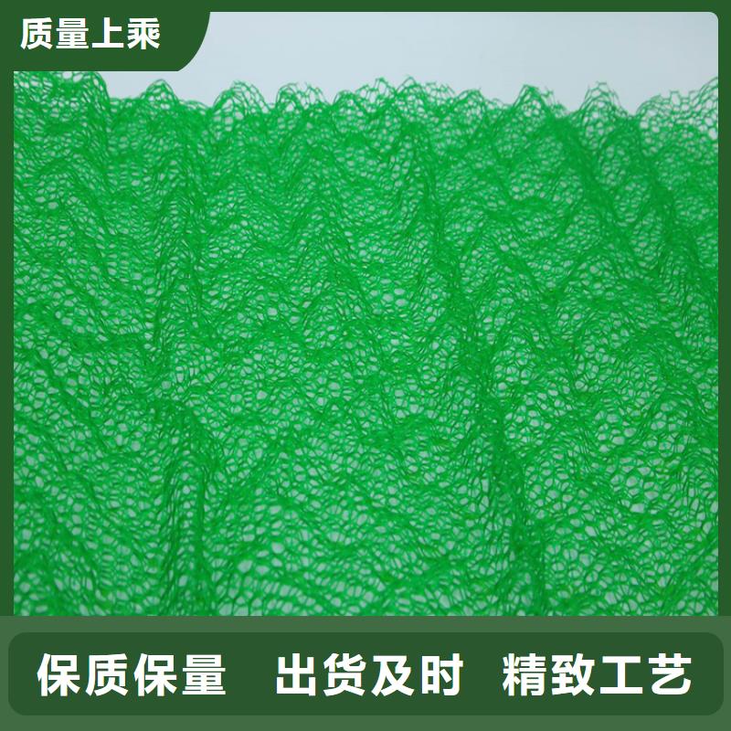 三维植被网HDPE土工膜专业品质