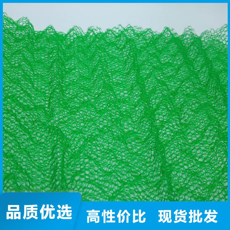 三维植被网,HDPE土工膜48小时发货