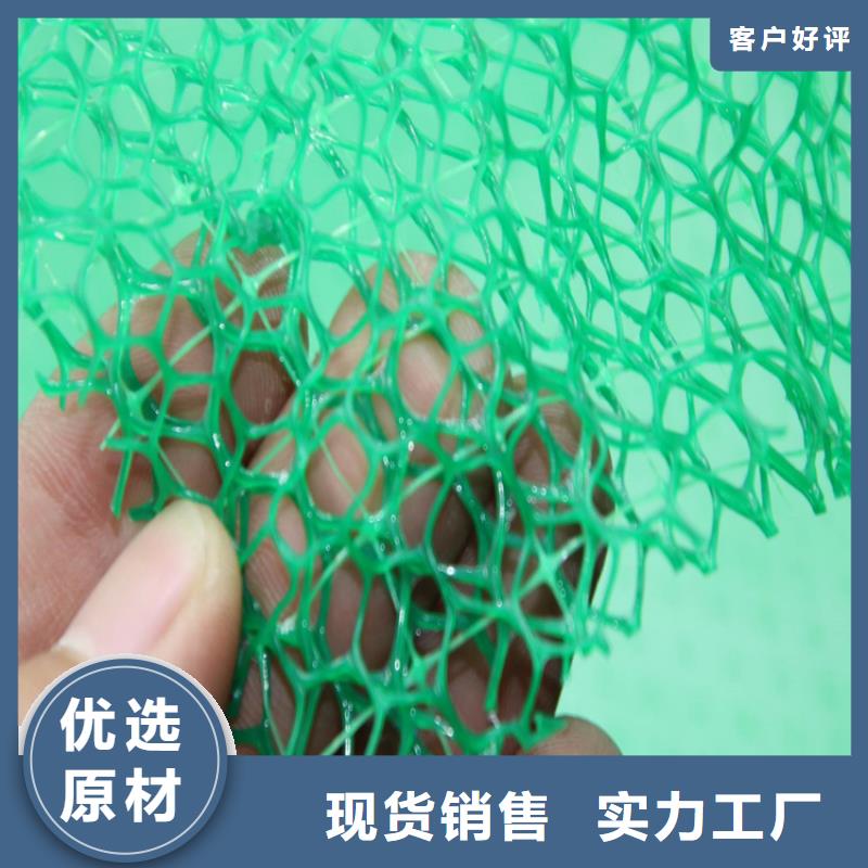 三维植被网塑料盲沟生产加工