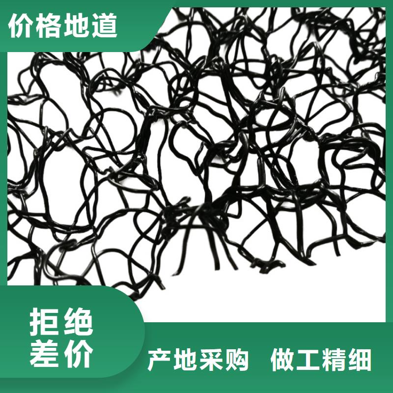 【水土保护毯】土工布准时交付鼎诺防水板