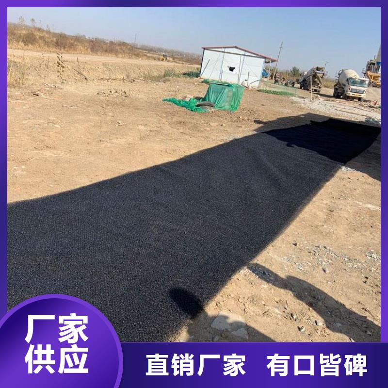 【水土保护毯【排水板】诚信厂家】