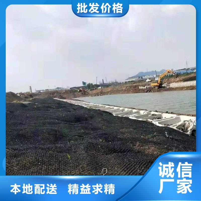 鼎诺【 水土保护毯土工格栅实力雄厚品质保障】-业务覆盖区域|爱辉|五大连池|牡丹江|绥化|哈尔滨|鹤岗|大庆-云商赢企