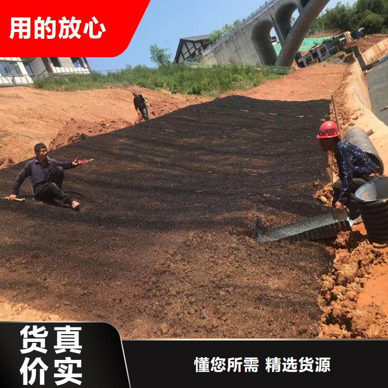 水土保护毯-防水板本地厂家值得信赖