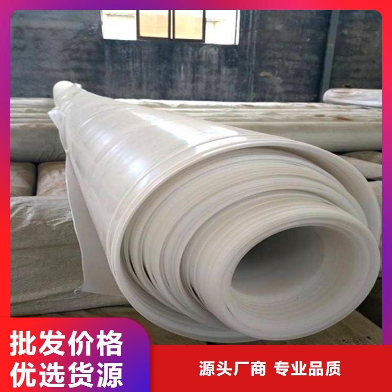 防水板植草格专注品质
