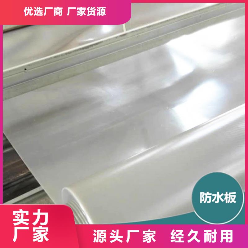 【防水板】 土工膜实体厂家支持定制鼎诺防水板