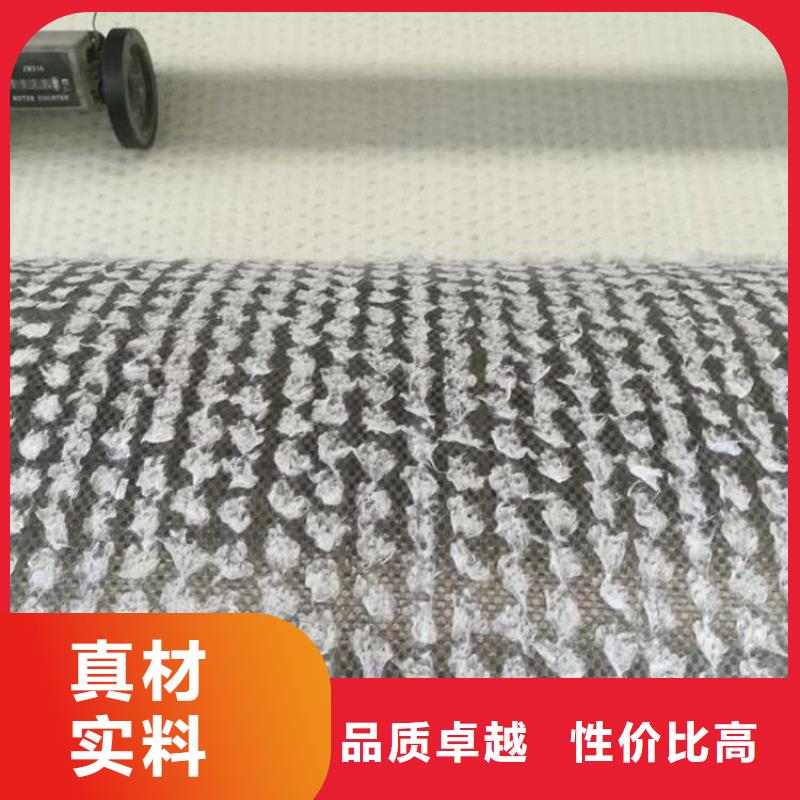 【膨润土防水毯土工布实力大厂家】