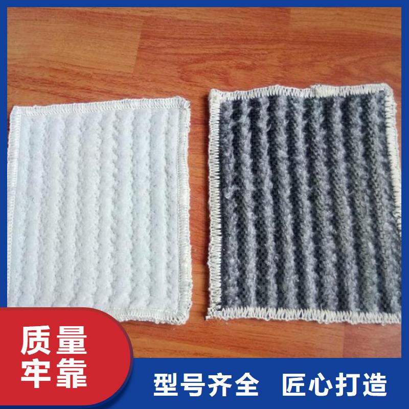 【膨润土防水毯土工布实力大厂家】