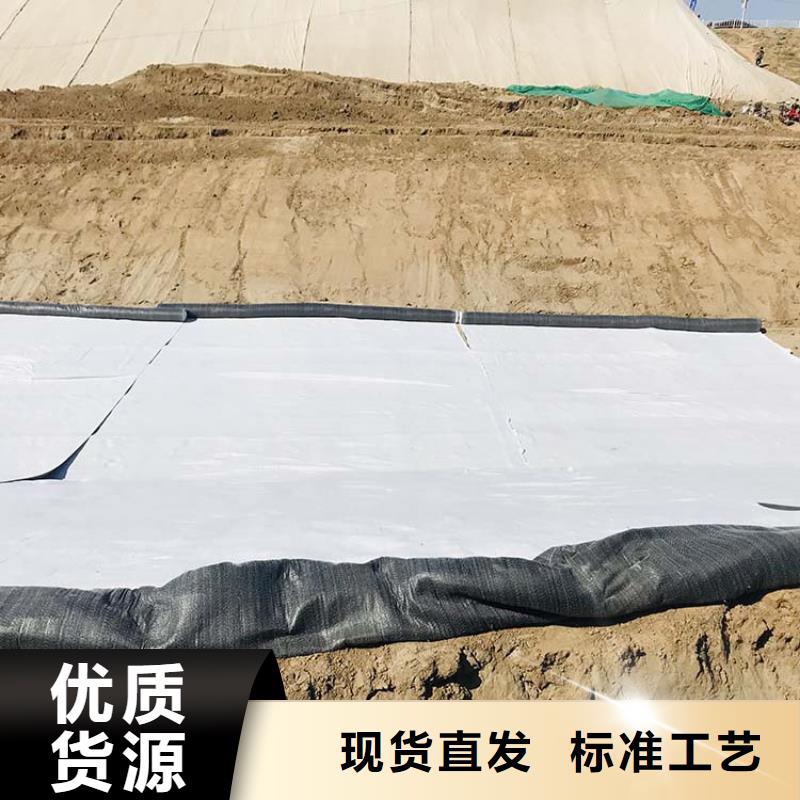 宁波同城膨润土防水毯 【复合土工膜】实地大厂