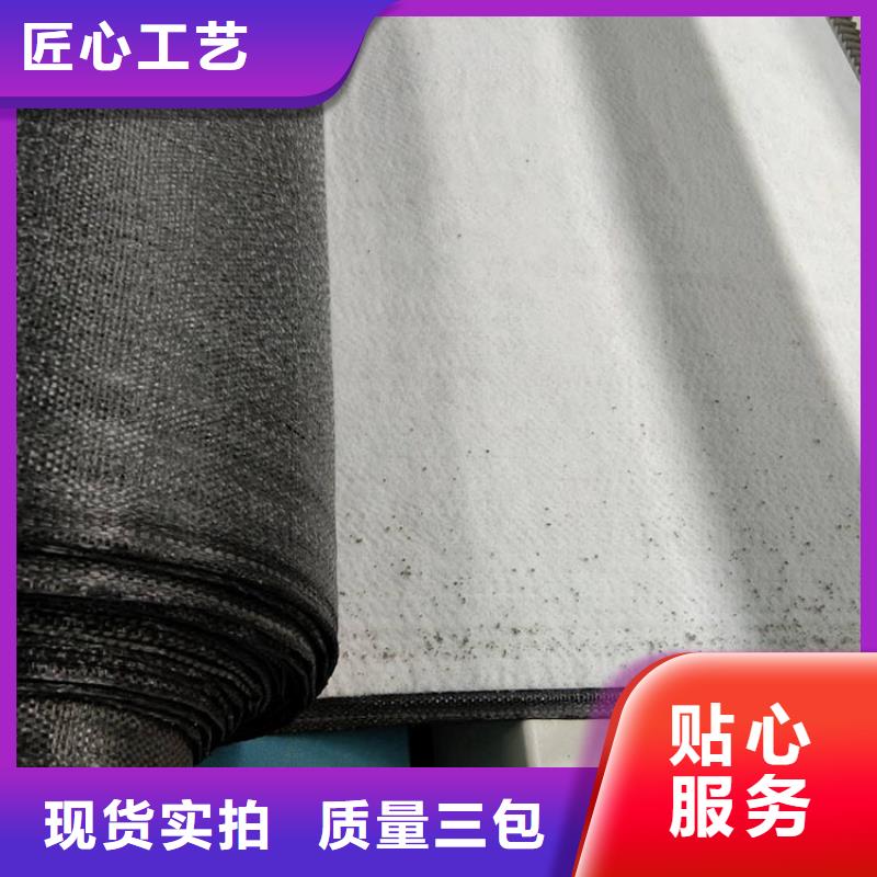 膨润土防水毯植草格一手货源源头厂家