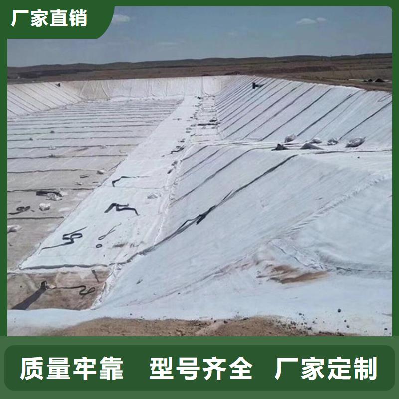 宁波同城膨润土防水毯 【复合土工膜】实地大厂