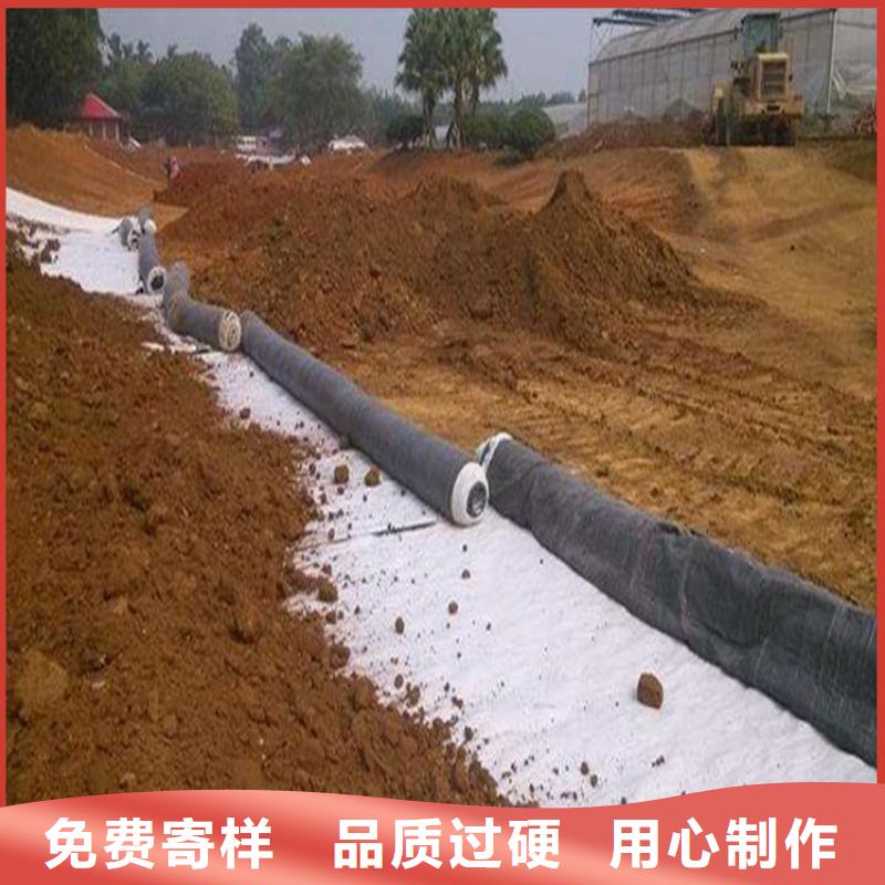 膨润土防水毯植草格一手货源源头厂家
