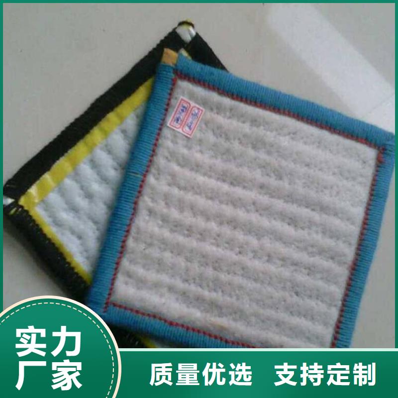 膨润土防水毯植草格一手货源源头厂家