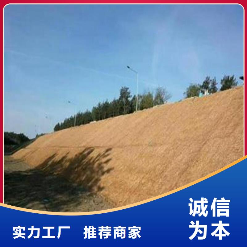 椰丝毯,防水板拥有核心技术优势
