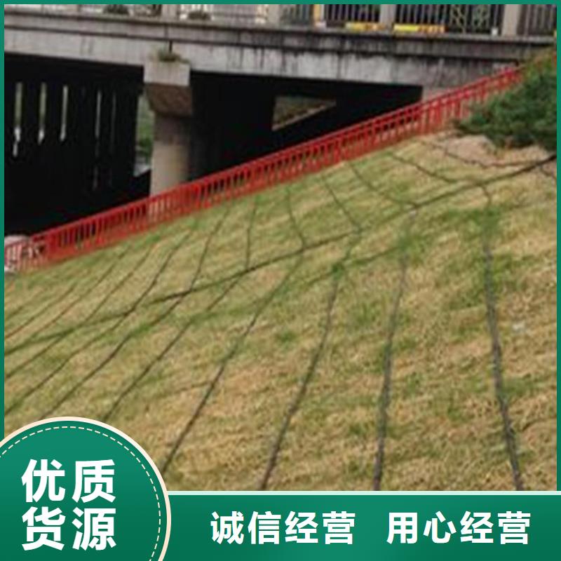 椰丝毯【防渗膜】好货采购