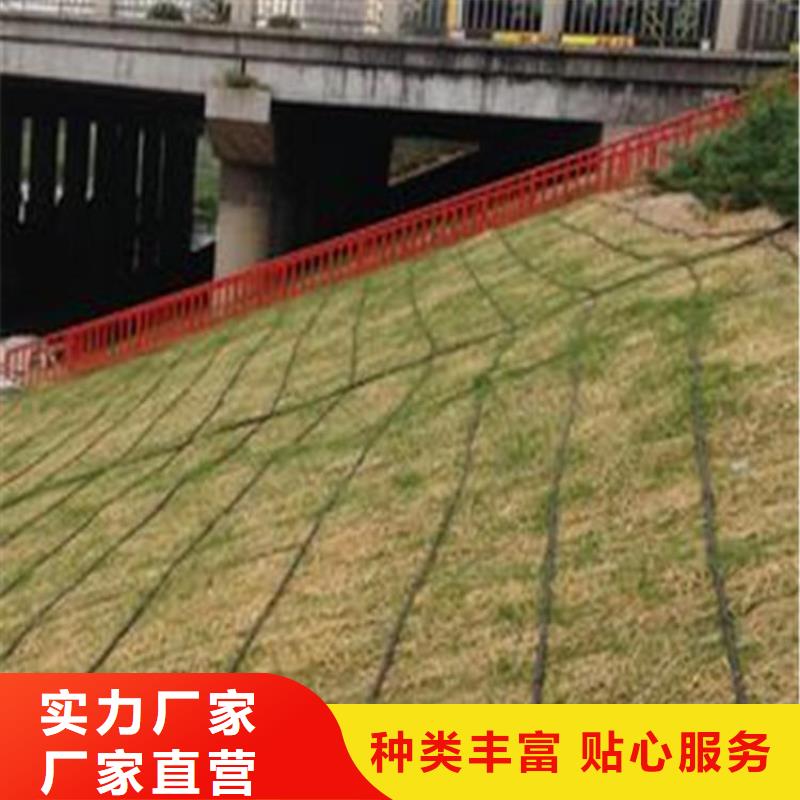 鼎诺防水板【 椰丝毯,HDPE土工膜厂家直发】
