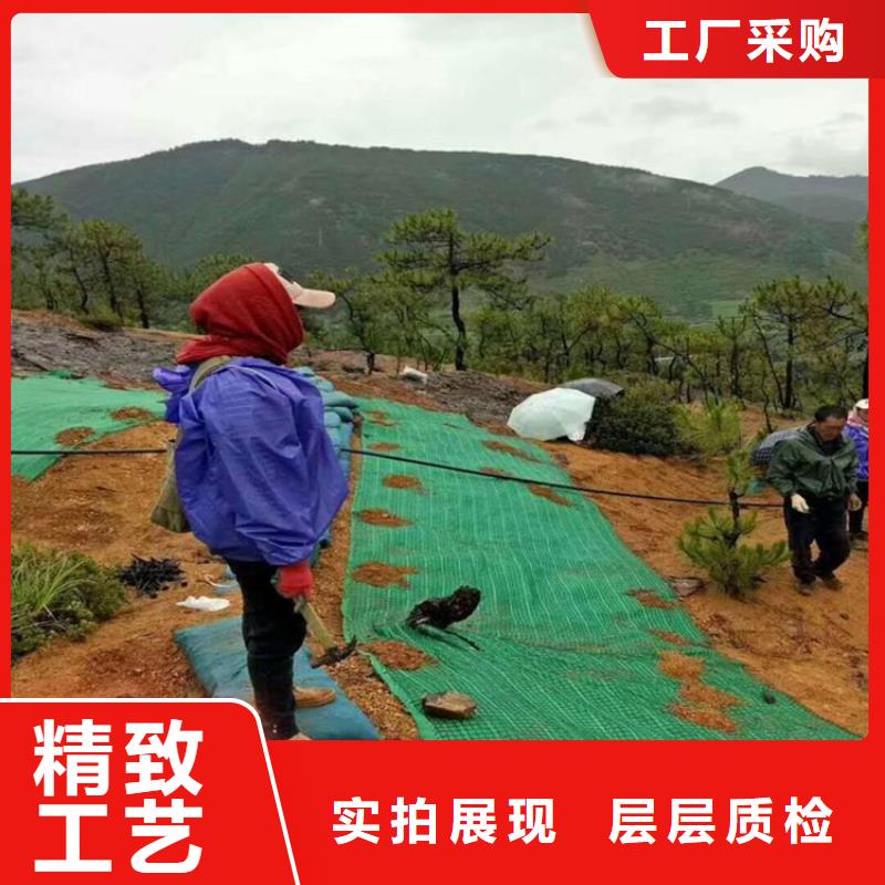 椰丝毯,防水板现货齐全售后无忧