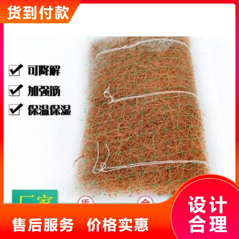 鼎诺防水板【 椰丝毯,HDPE土工膜厂家直发】