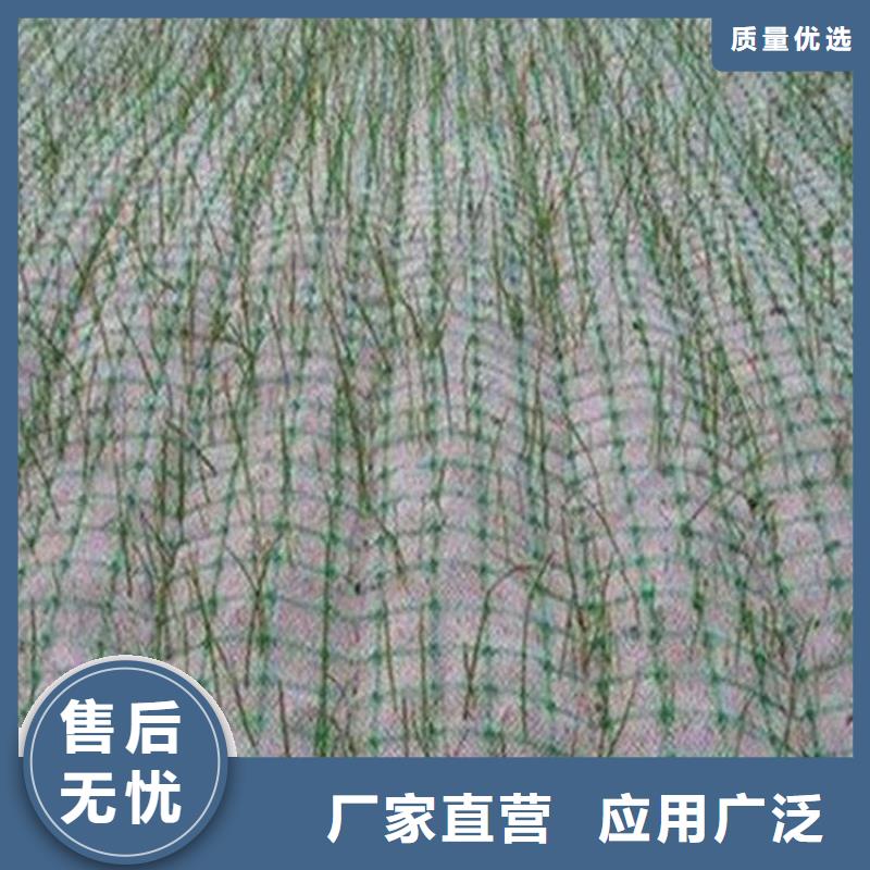 椰丝毯保湿布定制定做