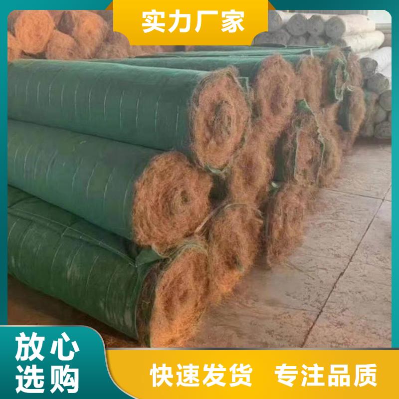 椰丝毯【防渗膜】极速发货
