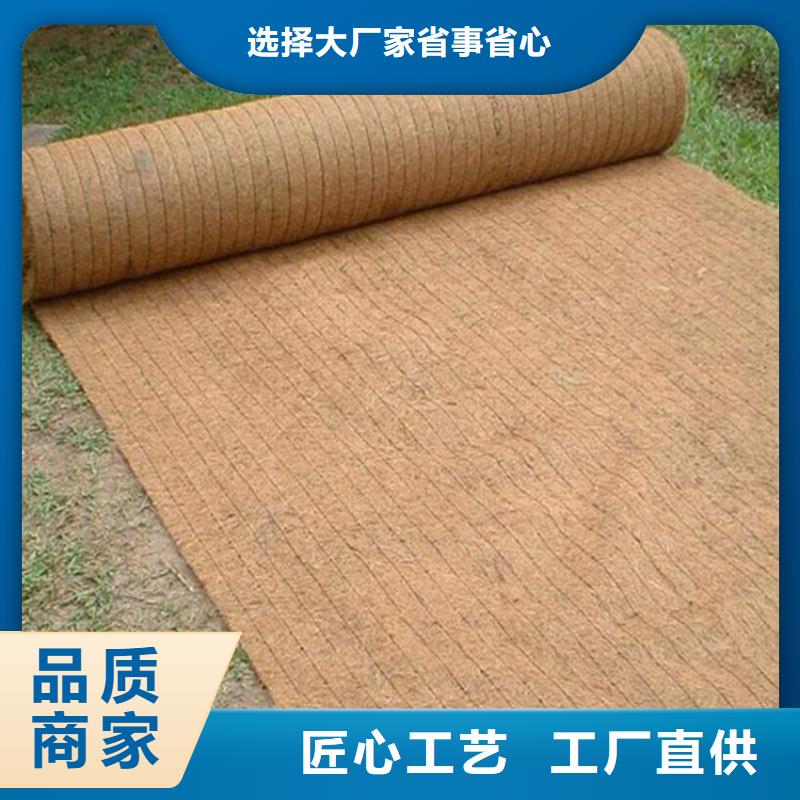 【椰丝毯土工格栅工程施工案例】